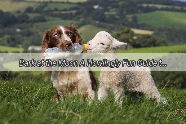 Bark at the Moon A Howlingly Fun Guide to Celebrating the MidAutumn Festival with Your Pooch